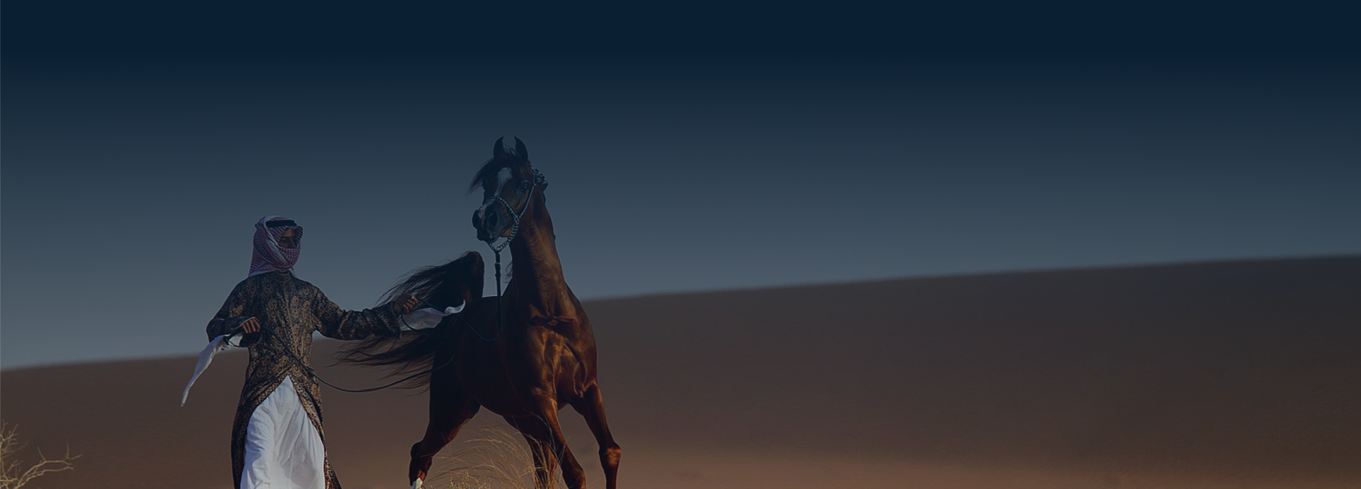 Hero Background Image