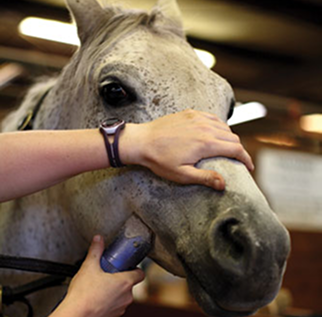 خدمات الحلاقة